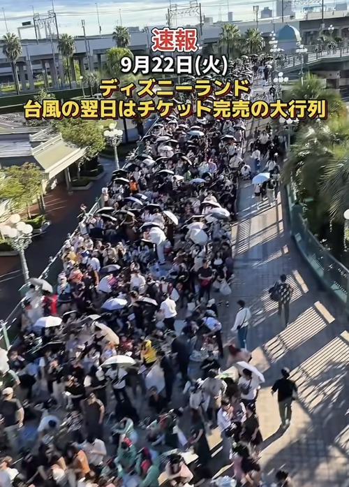 【画像】陽キャ「台風過ぎた！ディズニー行くしかない！」→結果ｗｗｗｗ