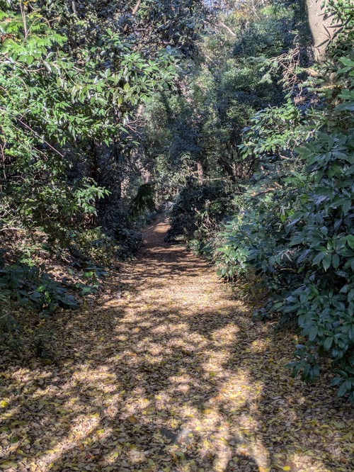 【画像】ワイ「渋滞うぜぇ…おっこの山道抜ければ回避できるじゃん！」→結果…