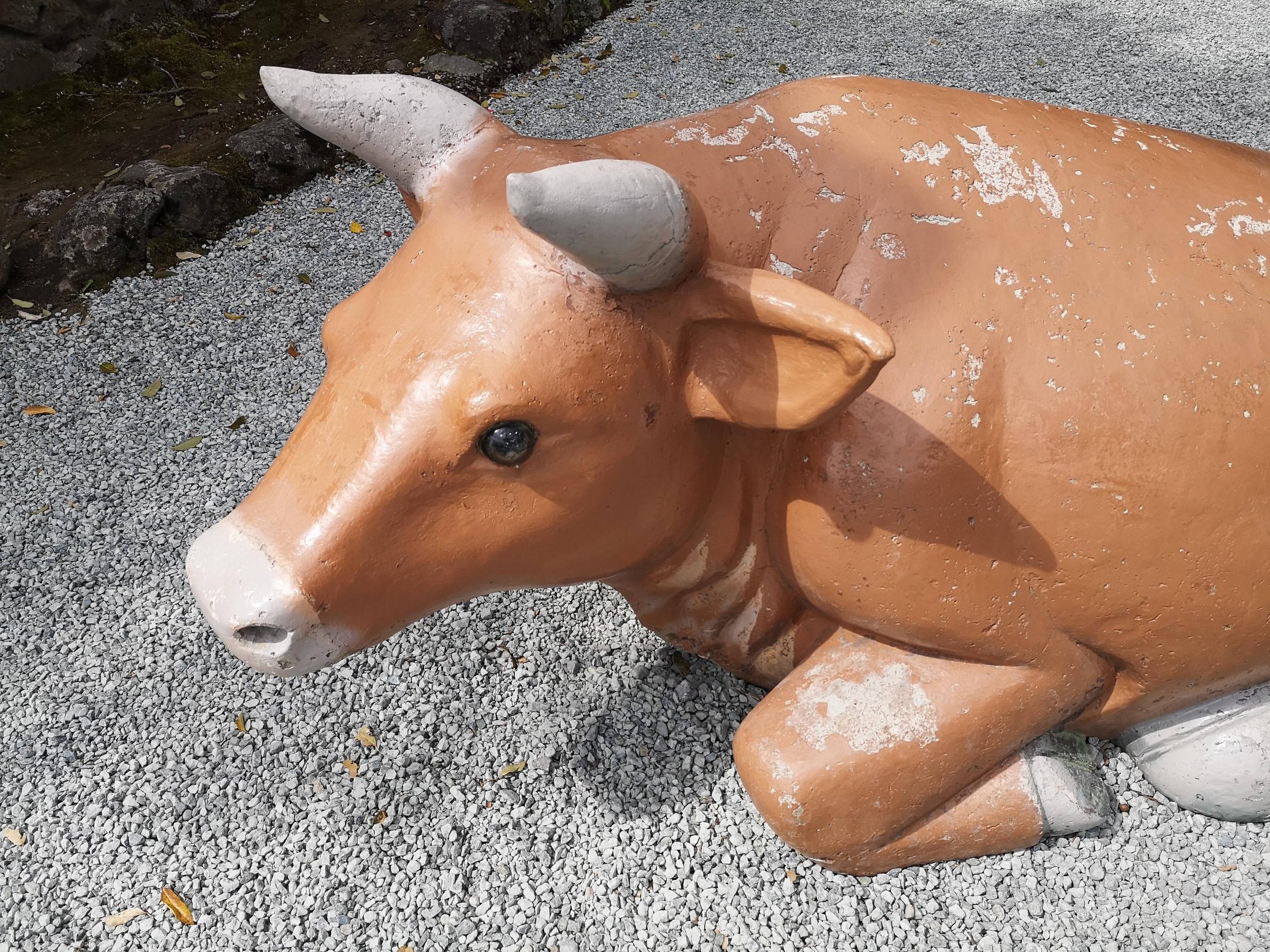 朗報 ワンピース像 設置のため撤去された牛さん 生存が確認されるｗｗｗｗ ホモビの刃速報