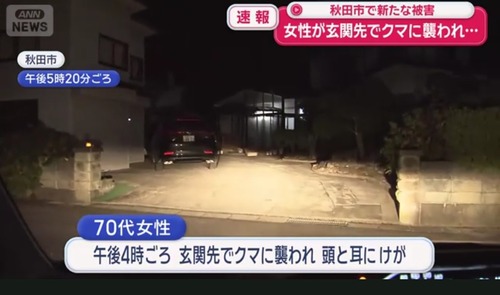 【画像】秋田のクマ、玄関先で「待ち伏せ作戦」を開始するｗｗｗｗ