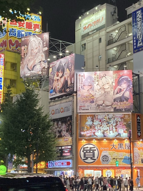 【悲報】今の秋葉原、気持ち悪すぎてドン引きされてしまうｗｗｗｗ