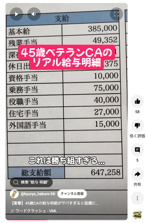 【衝撃】ベテランCAの給与明細、流出するｗｗｗｗ