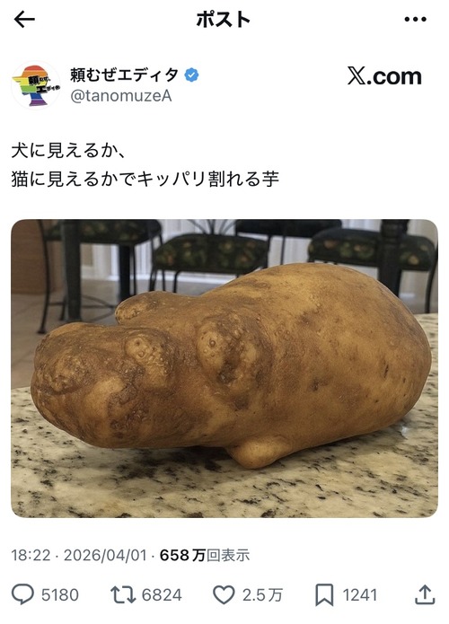 【画像】犬に見えるか猫に見えるかキッパリ割れる「芋」がこちらｗｗｗｗ