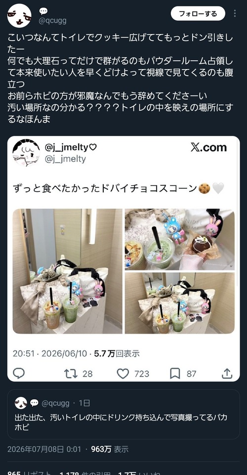 【驚愕】ホビ垢女子、トイレで迷惑行為をして炎上するwwww