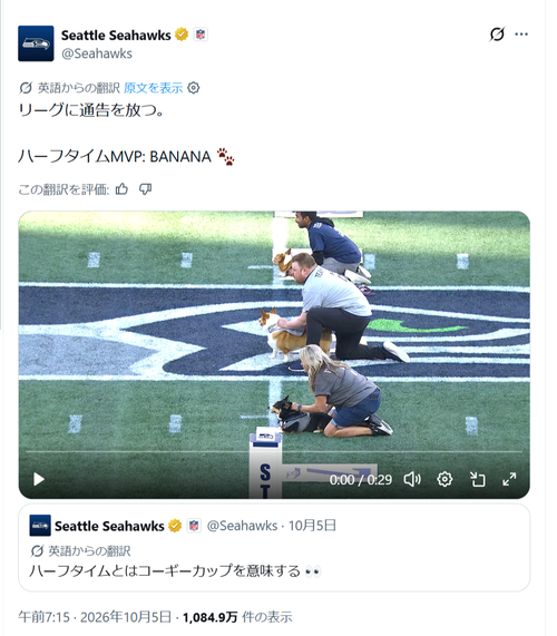【衝撃映像】コーギーレース、1匹だけ速すぎて会場騒然ｗｗｗｗ
