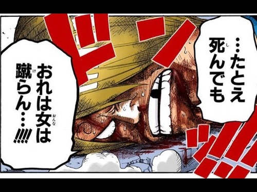【悲報】ワンピースの人気キャラ、フェミに叩かれるｗｗｗｗ