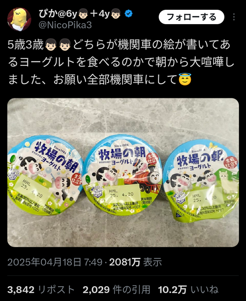 【悲報】バトル系女さん、ネタポストにマジギレしてしまう。もう終わりだよｗｗｗｗｗ
