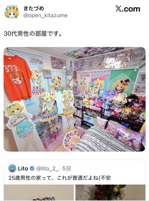 【画像】X民「25歳男の部屋でこれって普通だよね？」30代オタク「！」ｼｭﾊﾞﾊﾞﾊﾞﾊﾞ