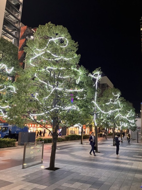 【悲報】数年前に話題になったアキバのイルミ、今見ても酷くて草ｗｗｗｗ