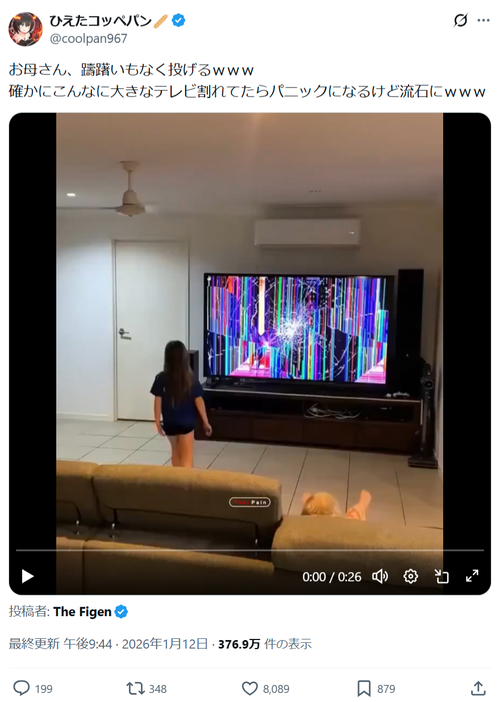 【悲報】ママ、テレビの液晶を子供に割られて躊躇なく子供を投げつけるｗｗｗｗｗ