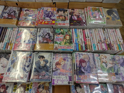 【悲報】女子向け漫画、悪役令嬢が逆転無双するものばかりで溢れるｗｗｗｗ