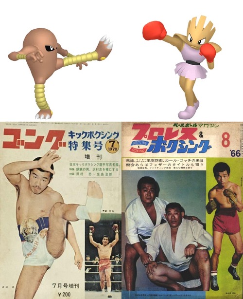 【謎】ポケモン「サワムラーの元ネタは沢村忠」「エビワラーの元ネタは海老原博幸」←これキッズ分かるんか…？