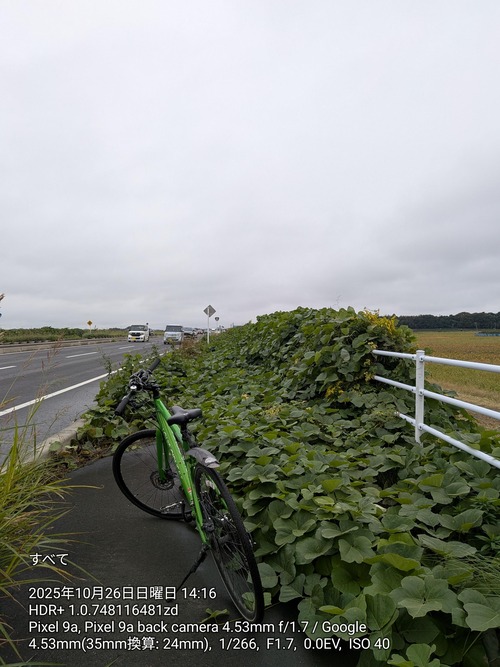 【画像】ヤバすぎる歩道が見つかる。これ通れるの？ｗｗｗｗ