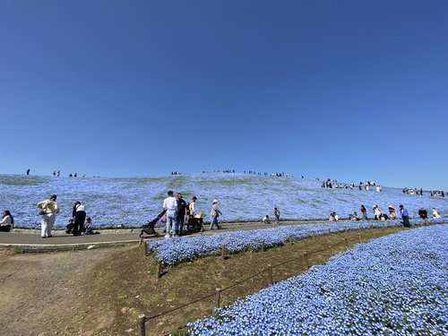 【悲報】ドールオタク、撮影中に通りすがりのおねーさんから暴言を吐かれるｗｗｗｗ