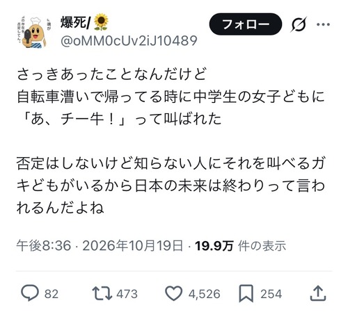 【悲報】X民「女子中学生どもに『あ、チー牛！！』って叫ばれた。日本は終わり」