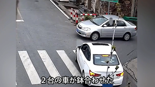 【悲報】道路で鉢合わせた2台の車、互いに譲らず夜になるｗｗｗｗ