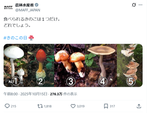 【画像】農水省「食べられるきのこは１つだけ。どれでしょう」