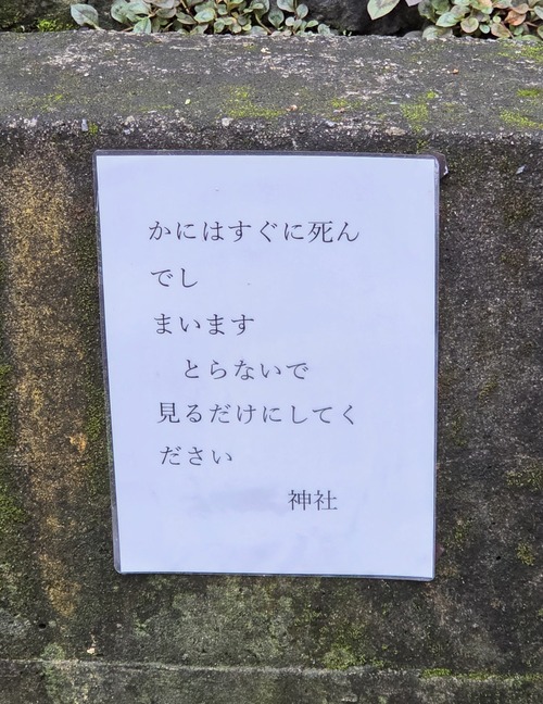 【画像】神主、賢い。このメッセージを解読できるか？ｗｗｗｗ