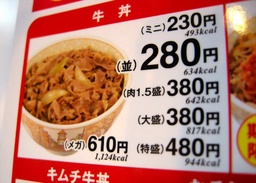【画像】牛丼280円の時代があったってマジ？なにがあったんだよｗｗｗｗｗ