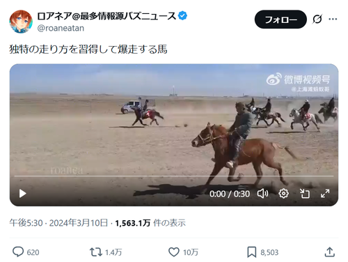 【朗報】キモい走り方の馬、ガチで見つかるｗｗｗｗ