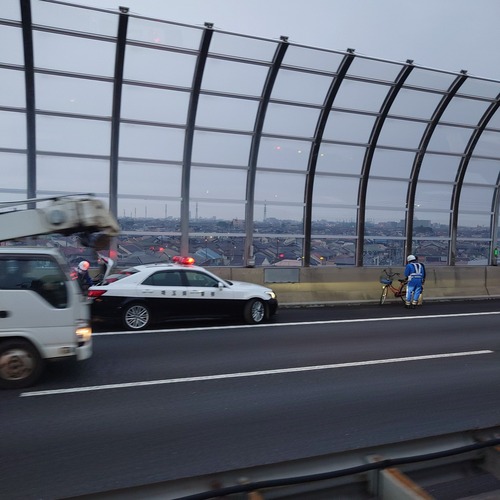 【悲報】自転車の男さん、高速道路を逆走するｗｗｗｗ