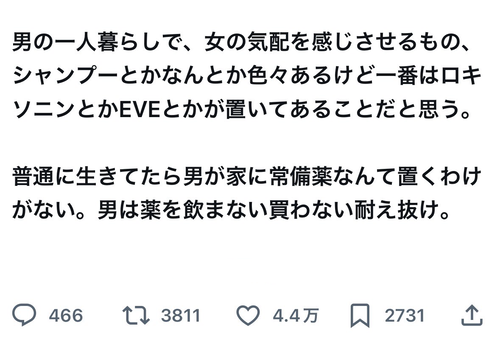 【悲報】識者「ロキソニンを持ってる男は浮気確定です」