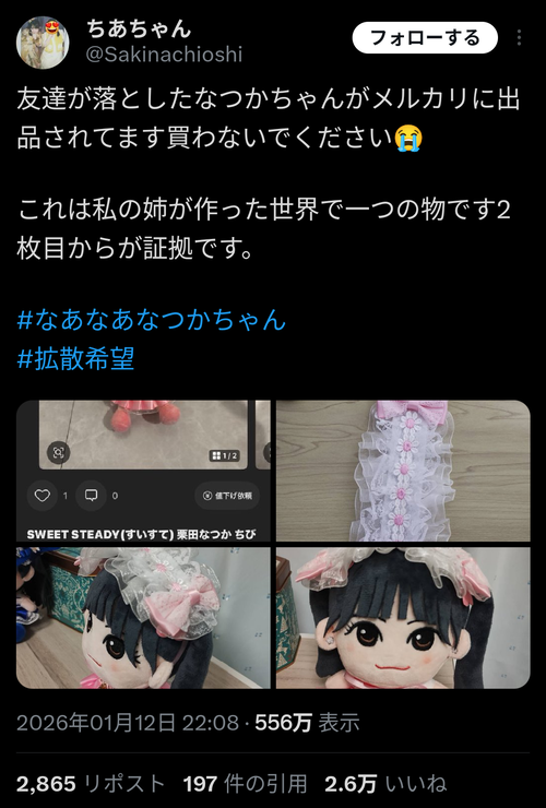 【悲報】メルカリ民、拾ったぬいぐるみをメルカリに出品→まさかの理由で本人に見つかるｗｗｗｗ