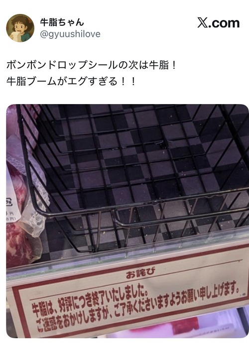 【衝撃】ボンドロシールの次に来るブーム、エグすぎるｗｗｗｗ