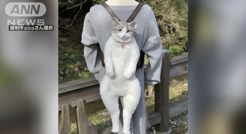 【悲報】猫リュック購入者に届いた「ニセ物」がこれｗｗｗｗ