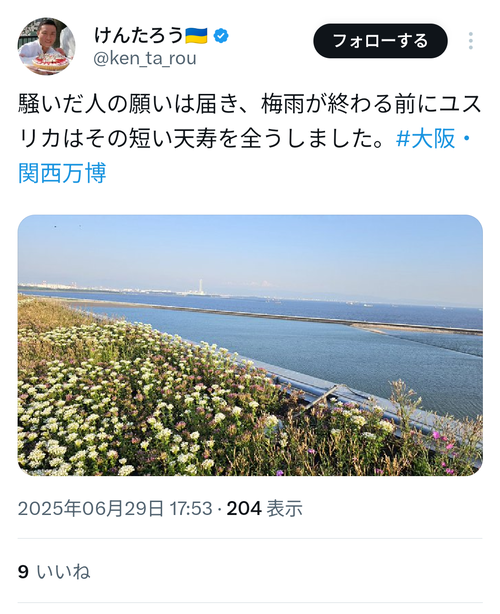 【悲報】万博のユスリカ、暑さで全滅した模様ｗｗｗｗ