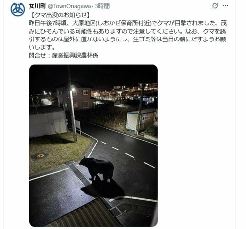 【悲報】宮城県女川町、公式Xにクマ目撃の注意喚起を投稿→その後フェイク画像だと判明するｗｗｗｗ