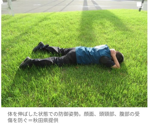 【朗報】クマに遭遇した時の「最適解」、ガチで判明するｗｗｗｗ