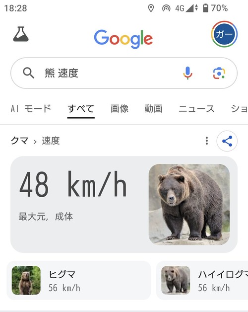 【悲報】クマさんの足の速さ、想像以上だった。市街地だと自動車よりも早く走れるらしいｗｗｗｗ