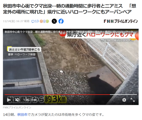 【朗報】クマ、ついにハローワークに出現するｗｗｗｗ