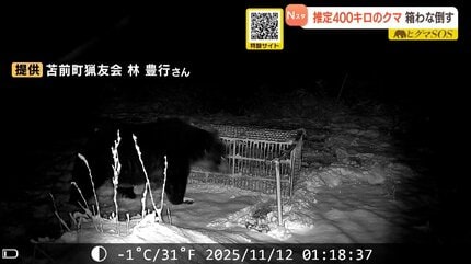 【画像】クマ界のラスボス、遂に登場。こいつを倒さないとダメか？ｗｗｗｗ