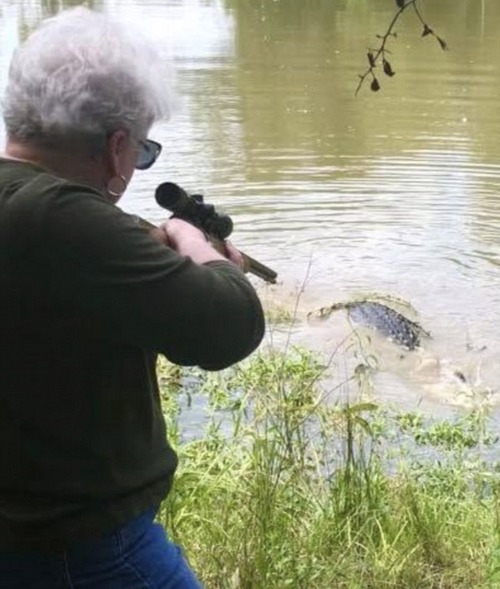 【画像】愛馬をワニに喰われたBBA、武装して報復に出るｗｗｗｗ
