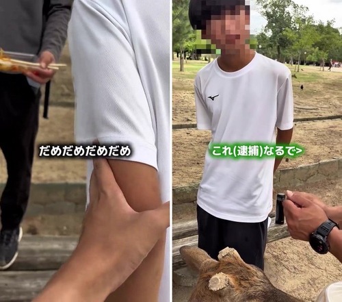 【悲報】奈良公園、ジェネリックへずまが出没するｗｗｗｗ