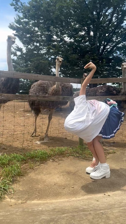no title
