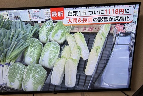 【悲報】時給、白菜1玉になるｗｗｗｗ