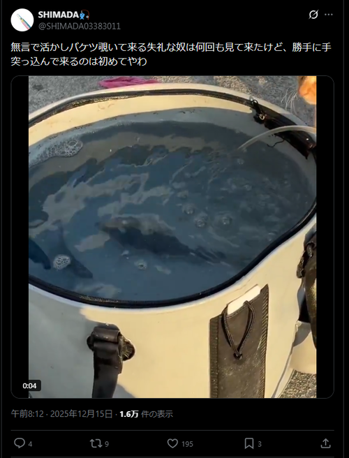 【画像】釣り人、活かしバケツに勝手に手を突っ込んでくる輩に遭遇するｗｗｗｗ