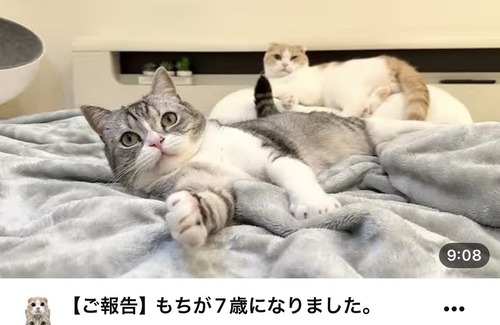 【悲報】もちまる日記、YouTube活動引退へｗｗｗｗ