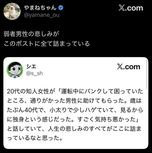 【悲報】識者「弱者男性の悲しみ、このポストに全て詰まってる」