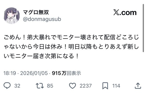 【悲報】女の子配信者、弟が大暴れしたせいで配信どころではなくなるｗｗｗｗ
