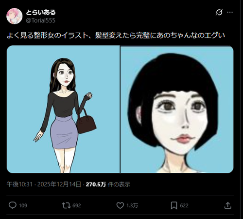 【画像】アニメアイコン、一線を超える「整形カリカリ女のイラスト、髪型変えたら…」