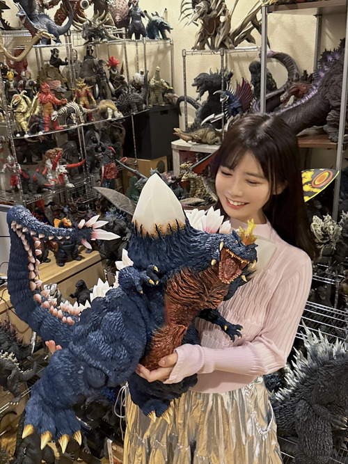 【画像】大人気グラドルの怪獣部屋、ガチすぎるｗｗｗｗ