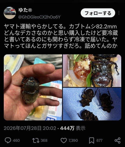 【悲報】配送会社、ガチでやらかす「カブト虫を購入したらこの状態で届いた」