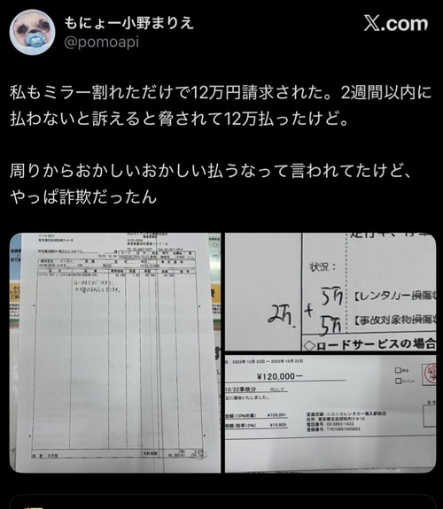 【悲報】X女子「私もニコニコレンタカーでミラー破損させて12万請求されました」