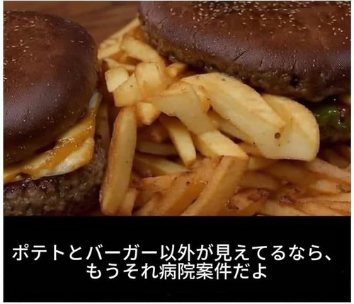 【画像】ポテトとハンバーガー以外が見えたら病院案件らしいｗｗｗｗ