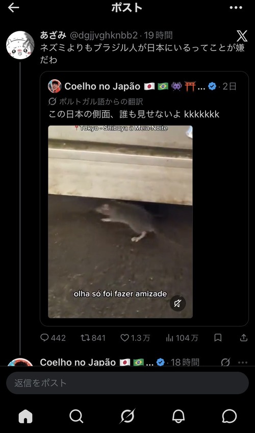 【悲報】ブラジル人「渋谷にでっかいネズミおった！」←X民、差別で応戦ｗｗｗｗ