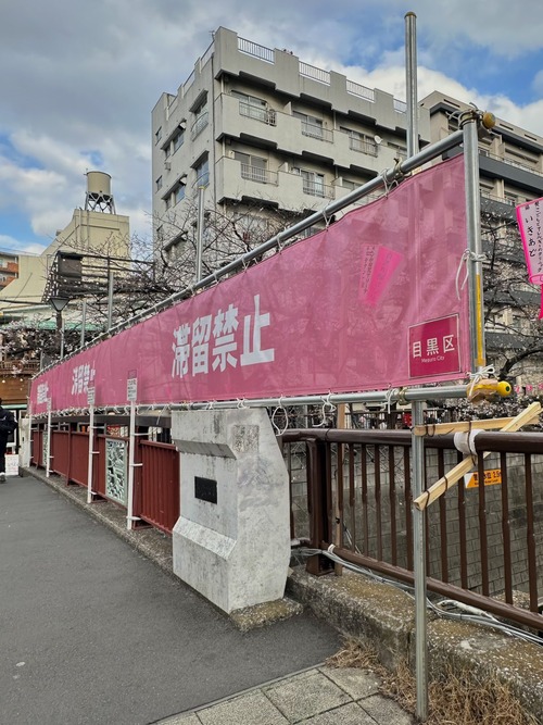 【画像】目黒川での花見、完全にガードされるｗｗｗｗ